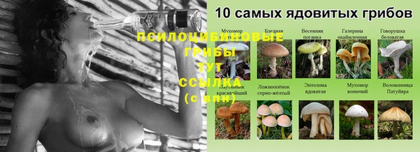 ПСИЛОЦИБИНОВЫЕ ГРИБЫ Армянск