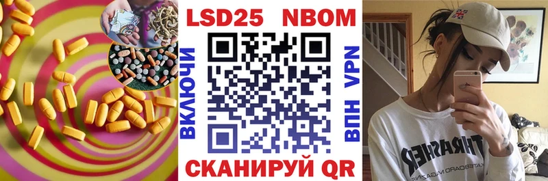 kraken как войти  Славгород  LSD-25 экстази кислота 