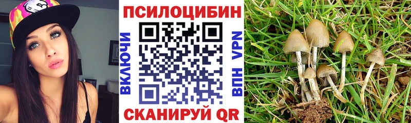 mega рабочий сайт  Славгород  Галлюциногенные грибы мицелий 