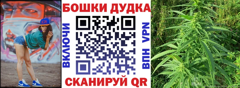 Бошки Шишки Amnesia  Славгород 